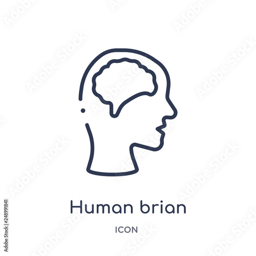Photos human brian icon from nature outline collection
