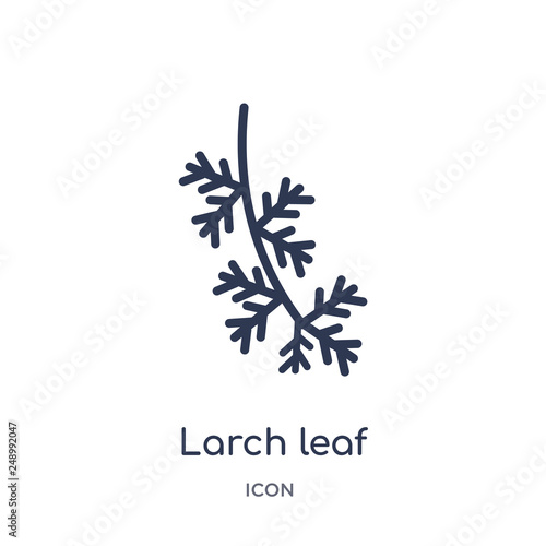 larch leaf icon from nature outline collection. Thin line larch leaf icon isolated on white background.