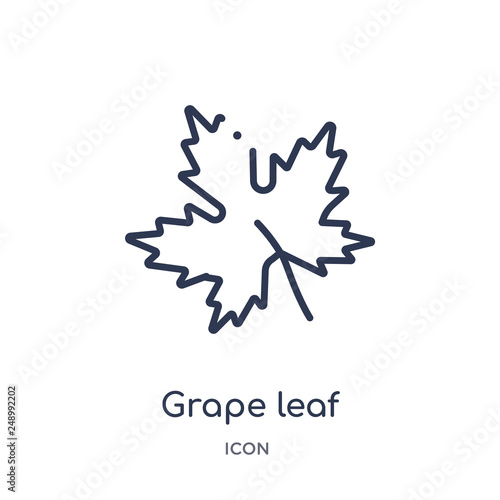 grape leaf icon from nature outline collection. Thin line grape leaf icon isolated on white background.