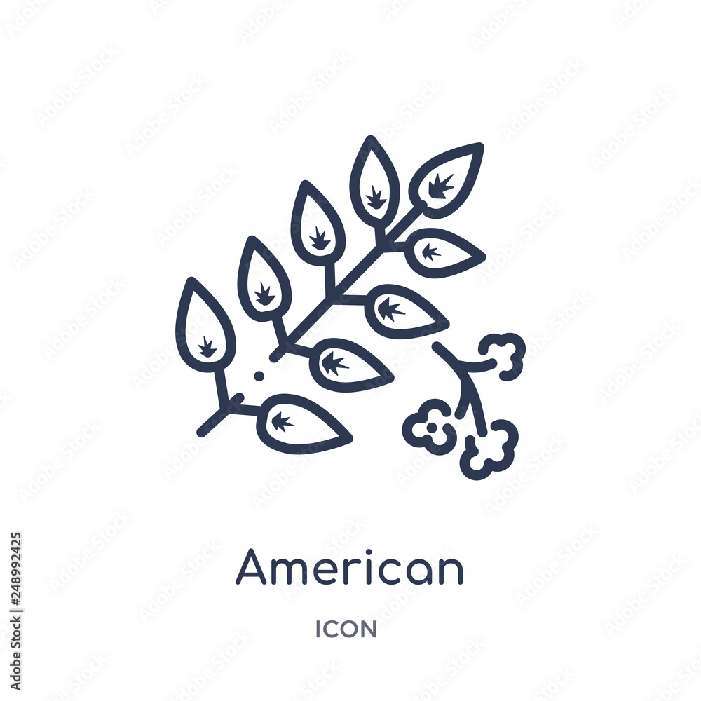 american mountain ash icon from nature outline collection. Thin line american mountain ash icon isolated on white background. american mountain ash icon from nature outline collection. Thin line american mountain ash icon isolated on white background.
