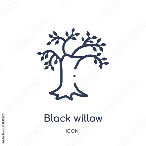black willow icon from nature outline collection. Thin line black willow icon isolated on white background.