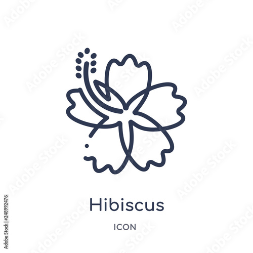 hibiscus icon from nature outline collection. Thin line hibiscus icon isolated on white background.
