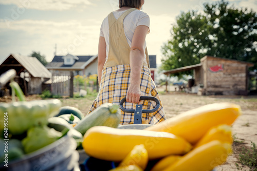 Young woman pulling a cart of vegetables during harvest on a small farm