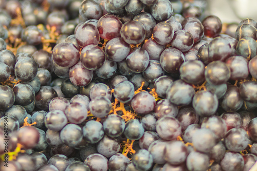 Black organic seedless grapes for sale at the fruit market. Bunch of black Corinth grape fruit background.