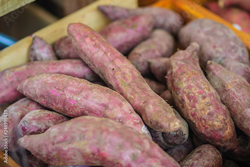 Organic Japanese sweet potatoes for sale at the local fresh market with price tag. Roasted sweet potato is a popular winter street food in East Asia. Purple and yellow sweet potatoes on sale.