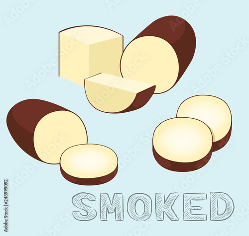 Food Cheese Type Smoked Vector Illustration