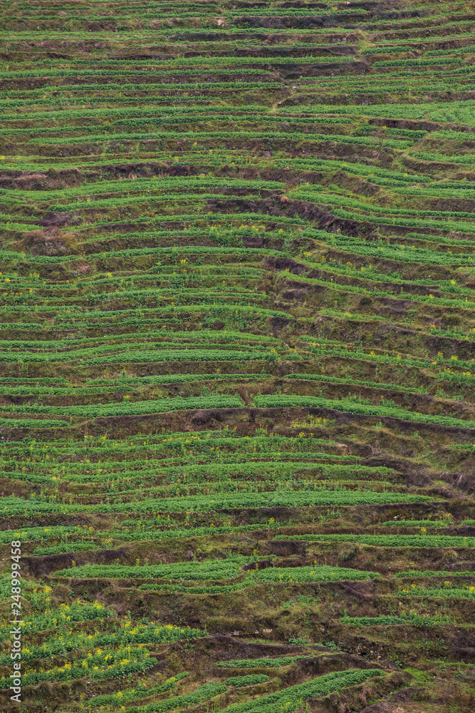 Obraz premium Huangling