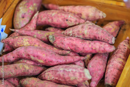 Organic Japanese sweet potatoes for sale at the local fresh market with price tag. Roasted sweet potato is a popular winter street food in East Asia. Purple and yellow sweet potatoes on sale.