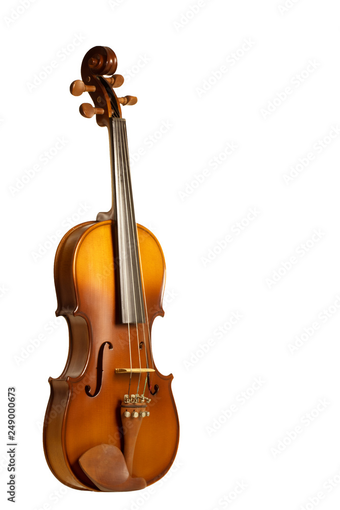 Fototapeta premium Violin on white background