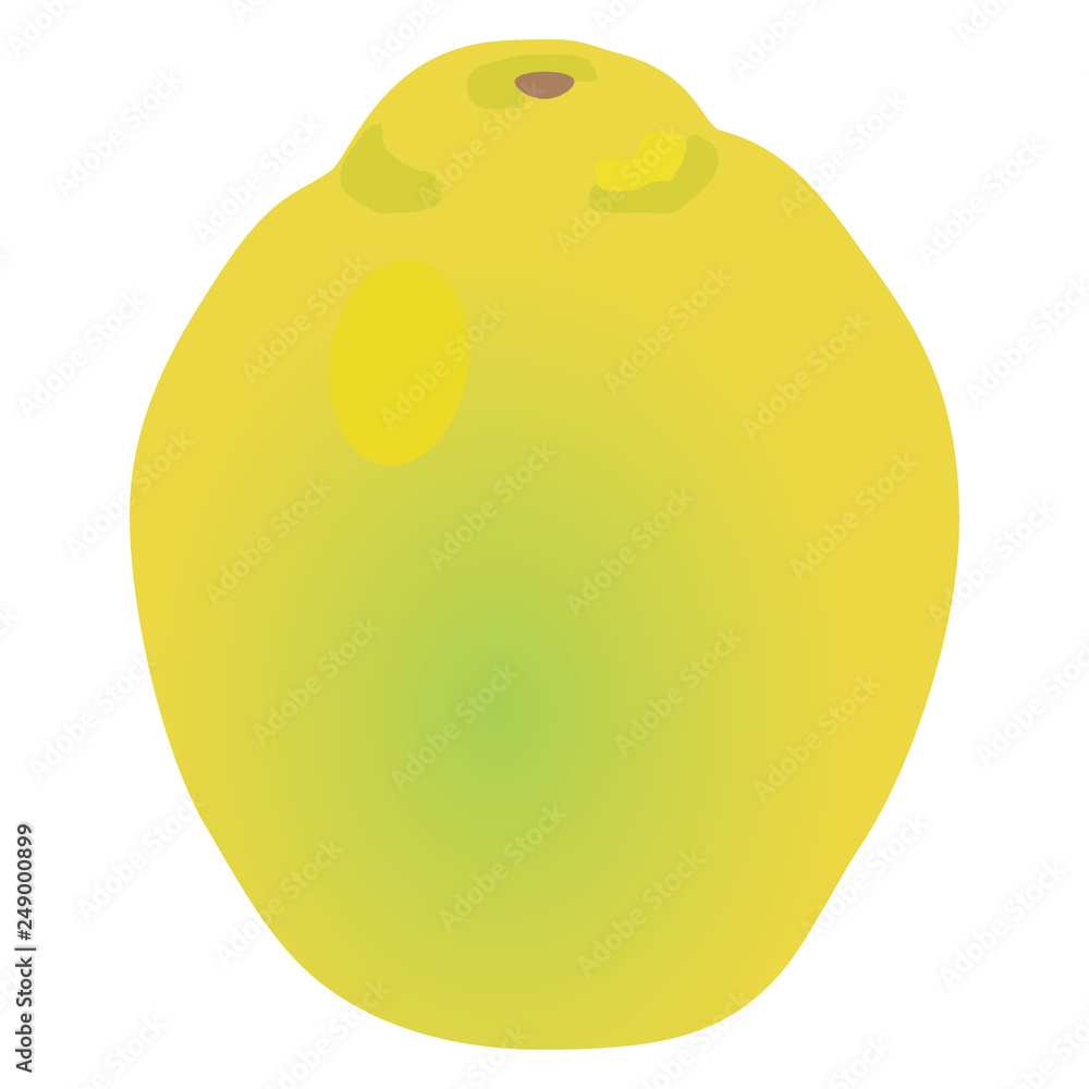 Fototapeta premium カリン