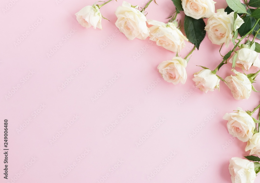 Flowers composition background. beautiful pale pink roses on pale pink   background.Top view.Copy space