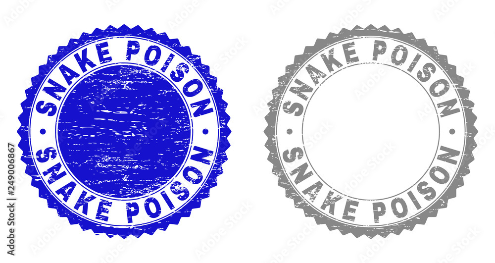 Grunge SNAKE POISON stamp seals isolated on a white background. Rosette seals with grunge texture in blue and grey colors. Vector rubber stamp imprint of SNAKE POISON label inside round rosette.