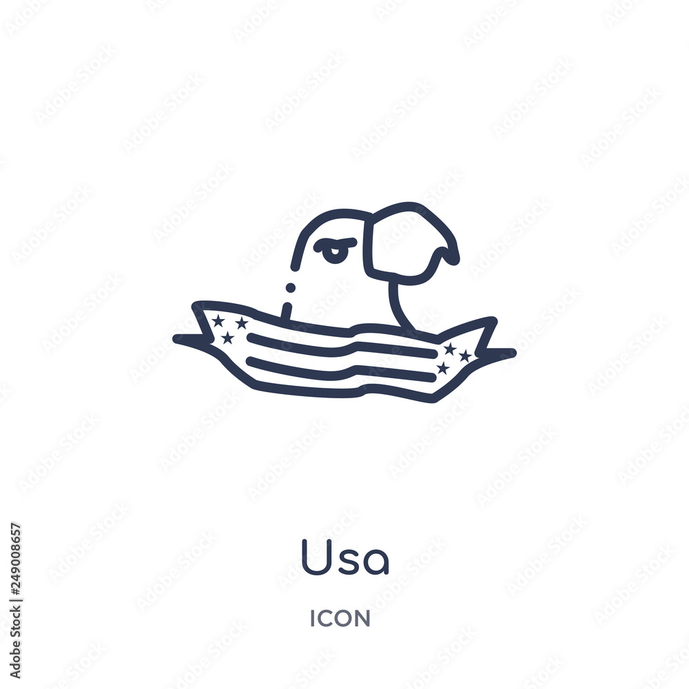 usa icon from united states outline collection. Thin line usa icon isolated on white background.