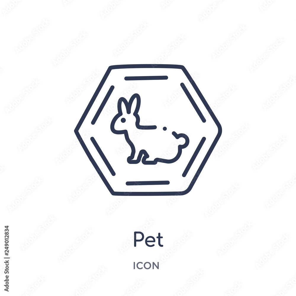 pet icon from signs outline collection. Thin line pet icon isolated on white background. pet icon from signs outline collection. Thin line pet icon isolated on white background.