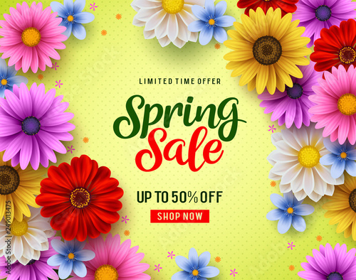 Spring sale vector banner with colorful chrysanthemum and daisy flowers elements and spring season discount promotion text. Vector illustration.
