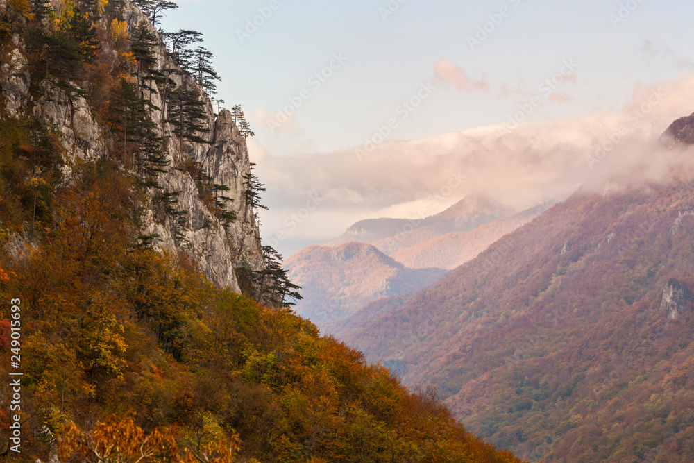 Fototapeta premium Beautiful autumn scenery in the mountains with mist clouds, pine trees and colorful foliage