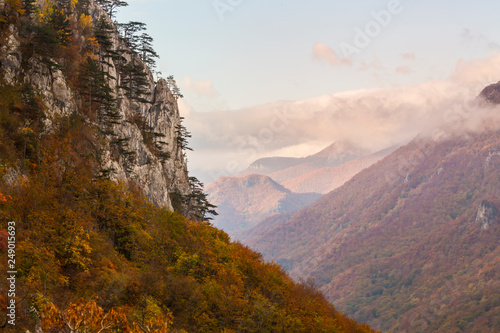 Beautiful autumn scenery in the mountains with mist clouds, pine trees and colorful foliage