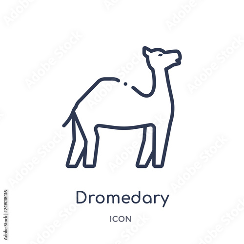 dromedary icon from religion outline collection. Thin line dromedary icon isolated on white background.