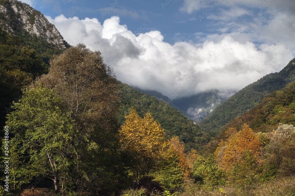 Mountain range overgrown with forest in autumn day