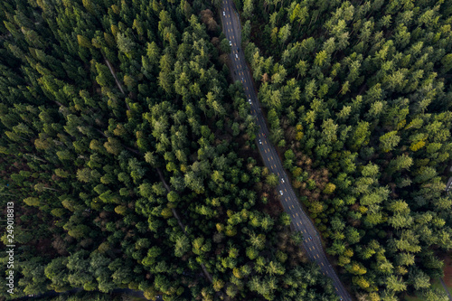 Aerial view of a road in a forest