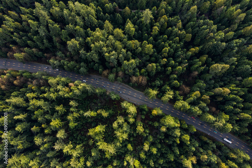 Aerial view of a road in a forest