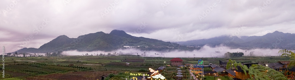 Green fields mountain foggy weather panorama landscape. Grass rice field nature background
