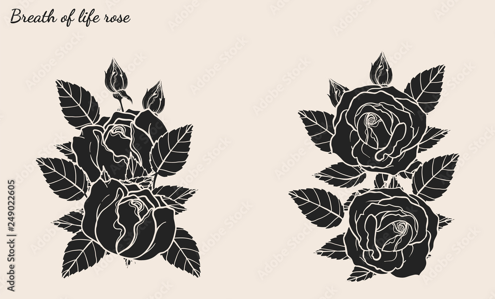 Rose ornament vector set by hand drawing.Beautiful flower on brown background.Rose art highly detailed in line art style.Breath of life rose for wallpaper or tattoo.