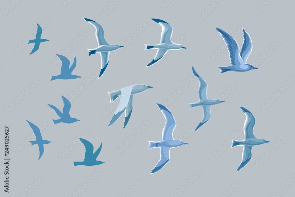 Obraz Sea gulls vector set