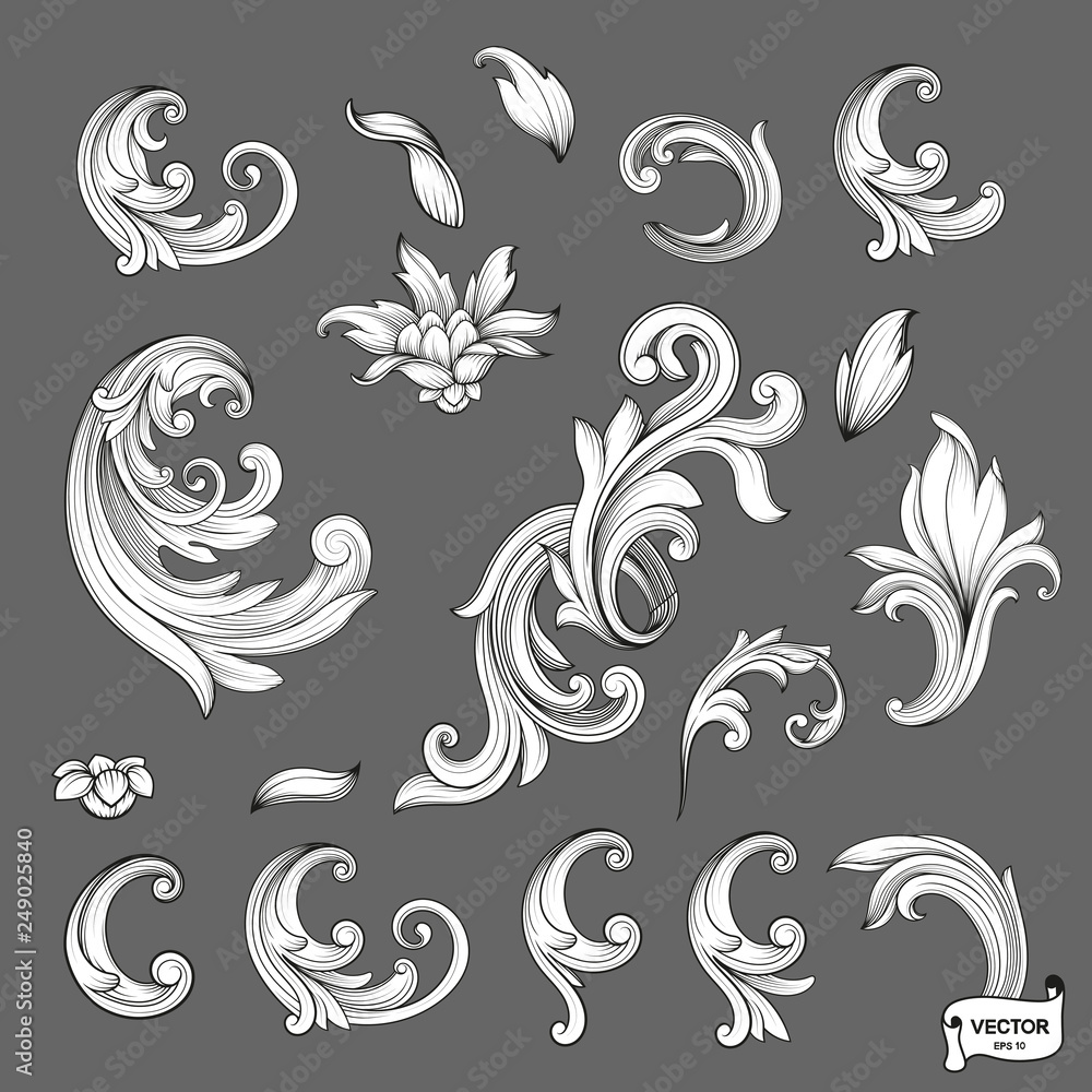 Fototapeta premium Set of element baroque engraving floral scroll