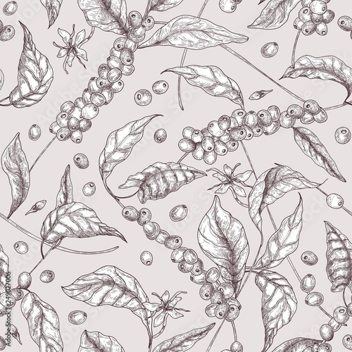 Botanical seamless pattern with tropical Coffea or coffee tree branches, leaves, blooming flowers, buds and fruits drawn with contour lines on light background. Vector illustration for fabric print.