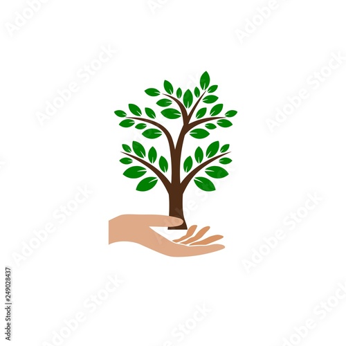 Hand with a tree symbol, Tree in hand 