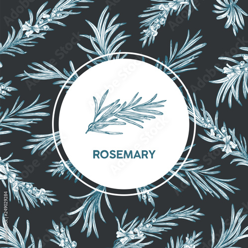 Round label decorated by rosemary sprig drawn with contour lines