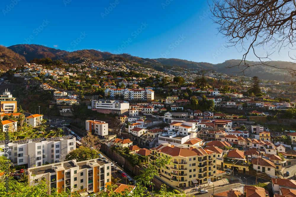 Obraz premium Town Funchal - Madeira Portugal