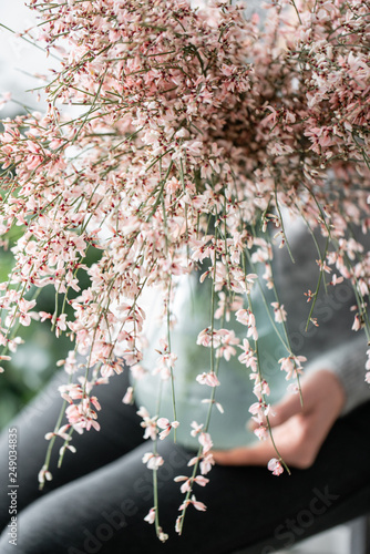 Bouquet in a glass vase of light pink genista cytisus flowers. Pastel color. Spring flowering plant branches. flower shop photo