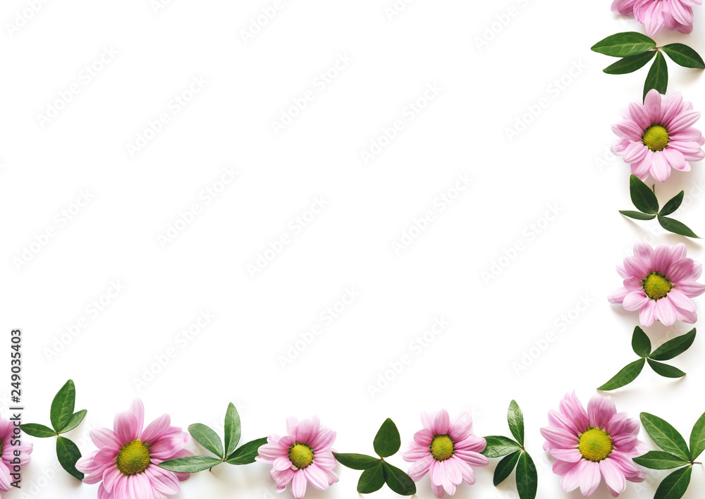 Spring Background With Pink Daisies And Green Leaves Spring Background With Pink Daisies And Green Leaves