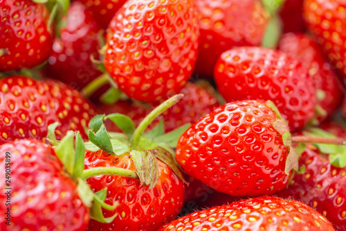 Wallpaper Mural Fresh organic Strawberry fruit background Top view closeup Torontodigital.ca