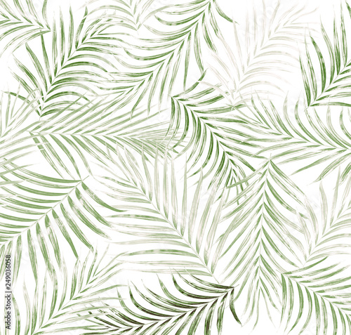 leaf of palm tree background