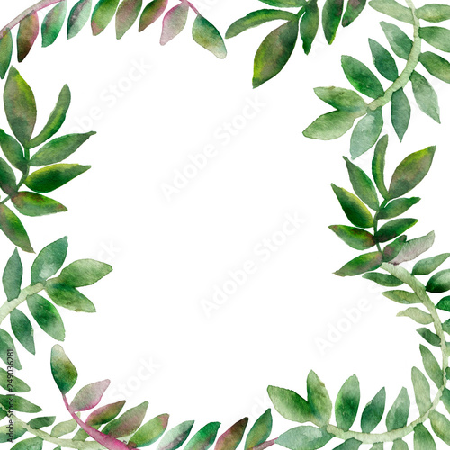 Tropical climbing plants. Watercolor openwork frame, vine branches isolated on white background. Hand painted green leaves, branches for beautiful design with space for text.