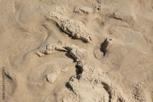 wet sand on the beach