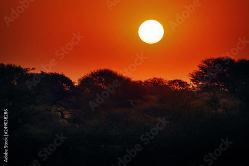 Sonnenuntergang über dem Makgadikgadi Pans Nationalpark, Botswana
