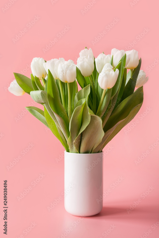 Bouquet of white tulip in vase on pastel millennial pink. Bouquet of white tulip in vase on pastel millennial pink.