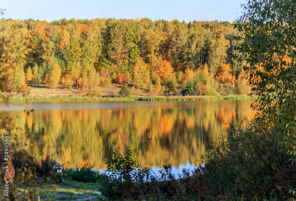 Autumn, autumn trees, yellow, red and green reflected in the water, morning, dark foreground Autumn, autumn trees, yellow, red and green reflected in the water, morning, dark foreground