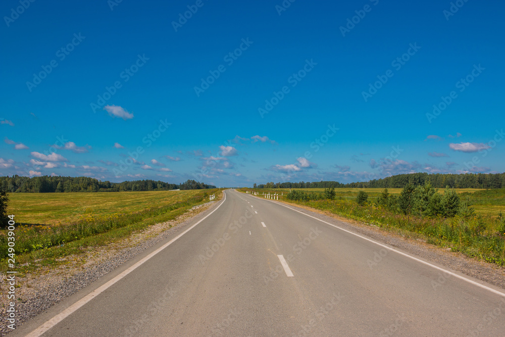 Road through green deep forest in Russia