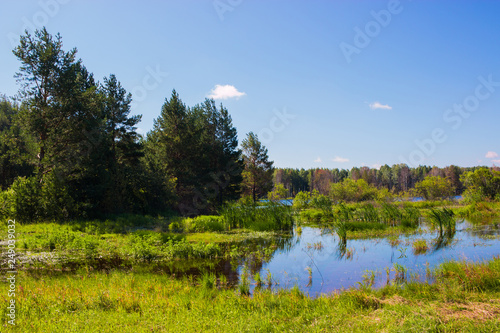 Mysterious forest and lake in field of Russia