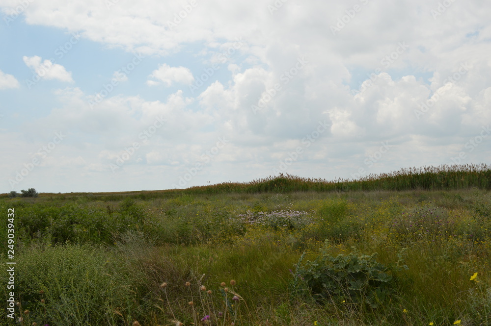 Obraz premium landscape with river and clouds