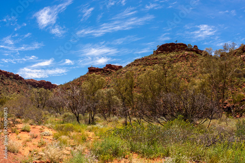 View of Kings Canyon, Northern Territory, Watarrka National Park, Australia