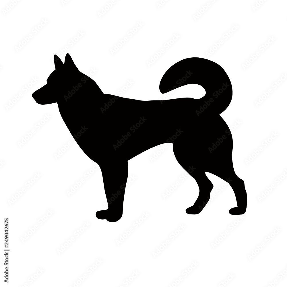 Silhouette of the dog. Malamute, Laika