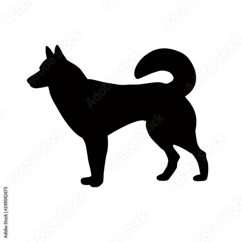 Silhouette of the dog. Malamute, Laika