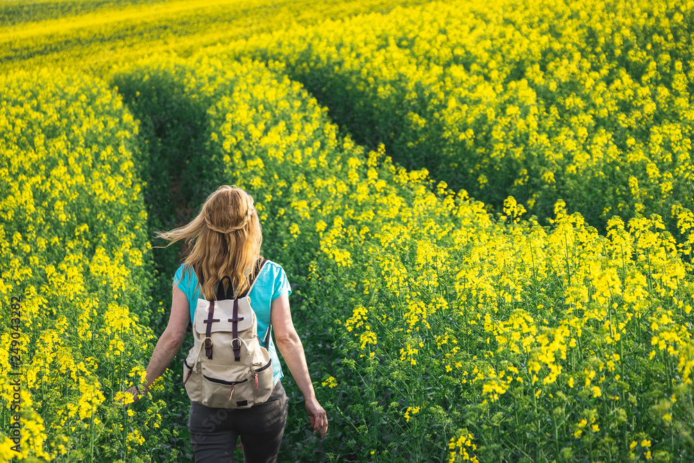 Hiking woman with backpack walking in blooming oilseed field Hiking woman with backpack walking in blooming oilseed field