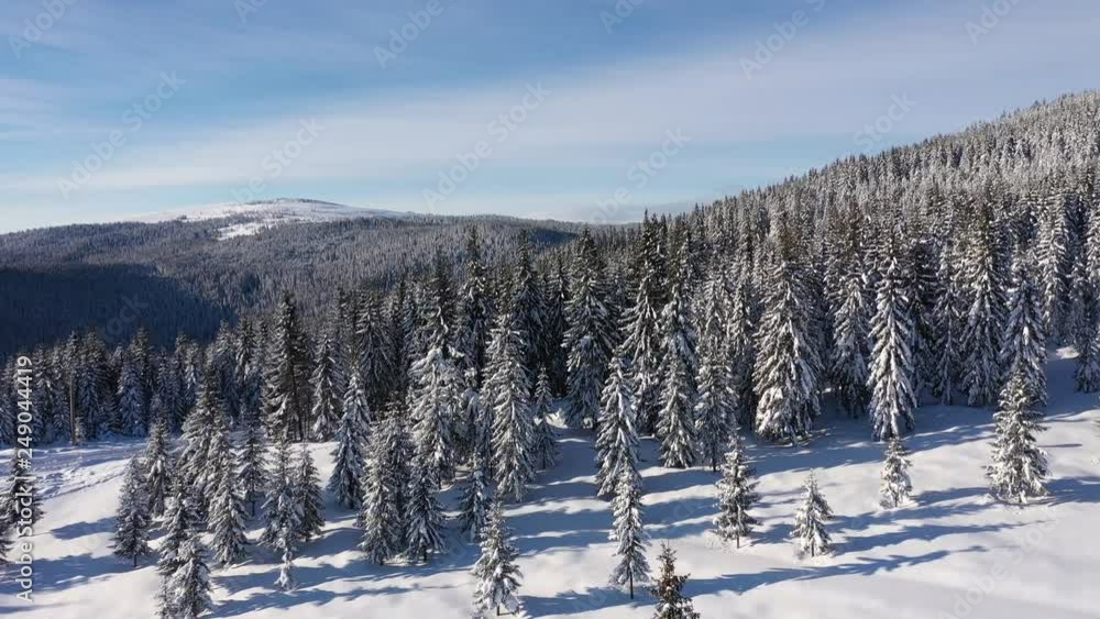 Aerial 4k top view of snow covered winter forest in the mountains by drone Aerial 4k top view of snow covered winter forest in the mountains by drone